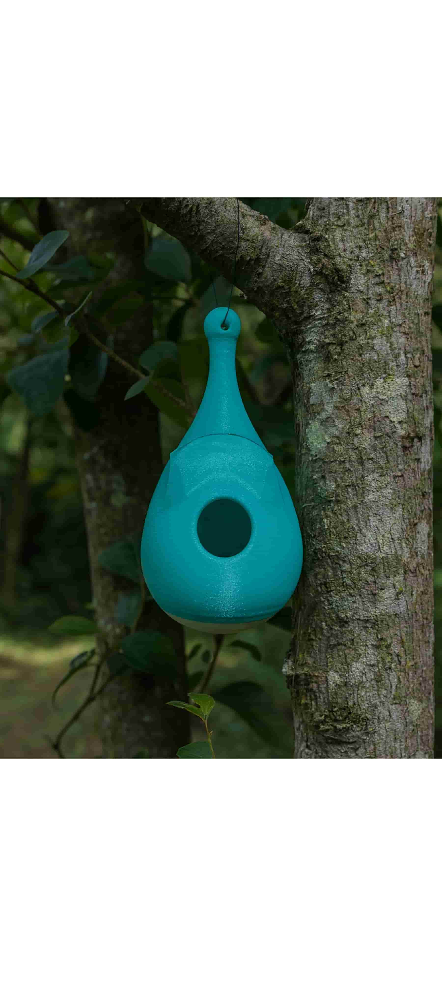 Objet extérieur 6