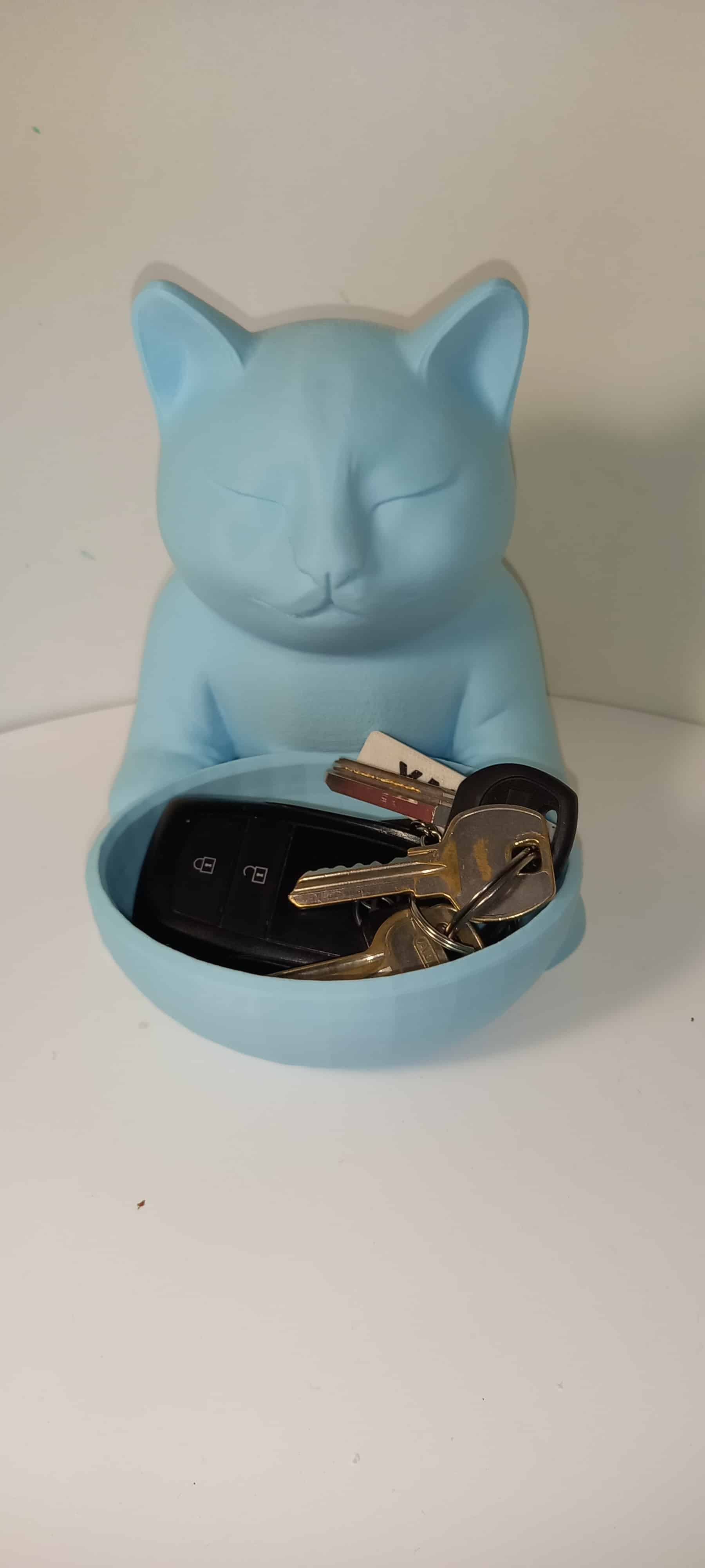 Chat vide‑poche 